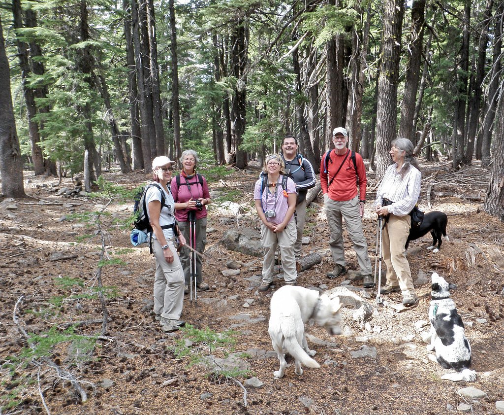 Clover Falls waterfall