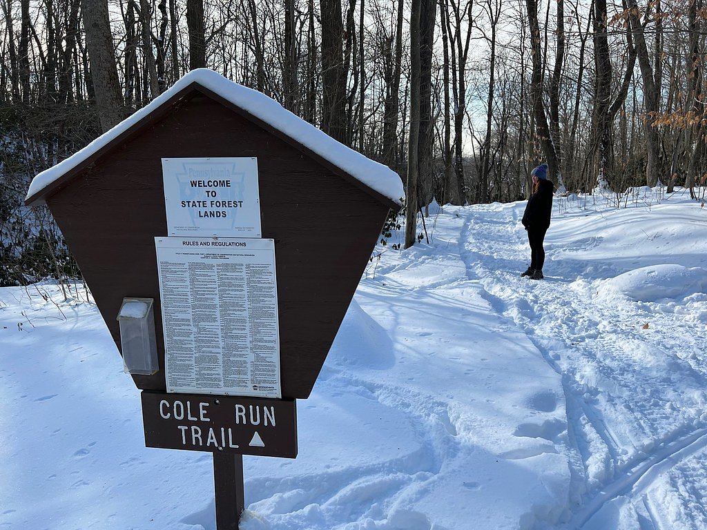 Cole Run Falls waterfall