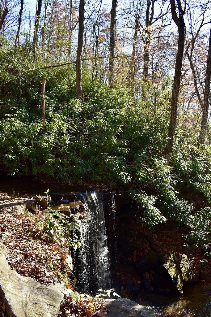 Cole Run Falls waterfall
