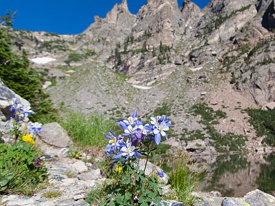 Columbine Falls