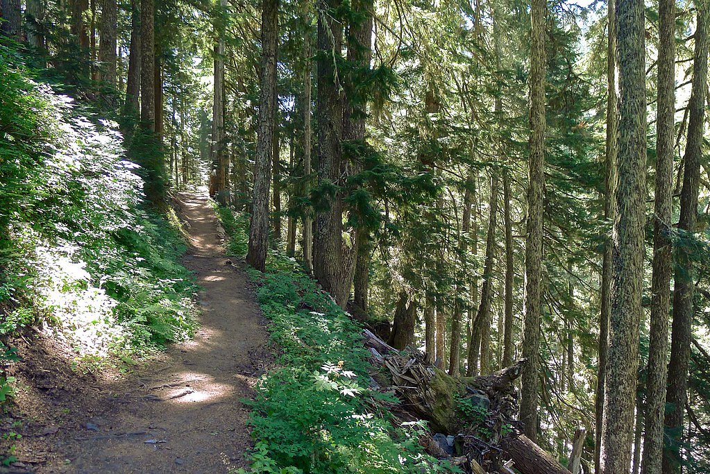 Comet Falls waterfall