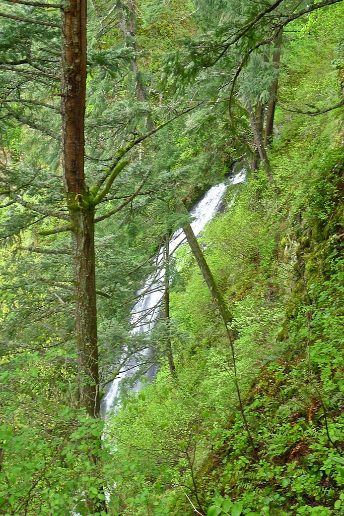 Coopey Falls waterfall