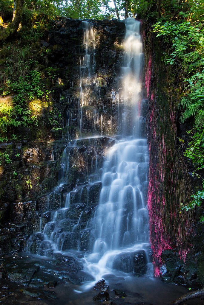 Coopey Falls waterfall
