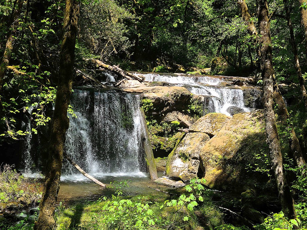 Coquille River Falls waterfall