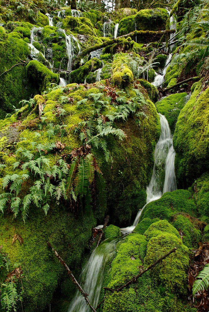 Cougar Falls waterfall