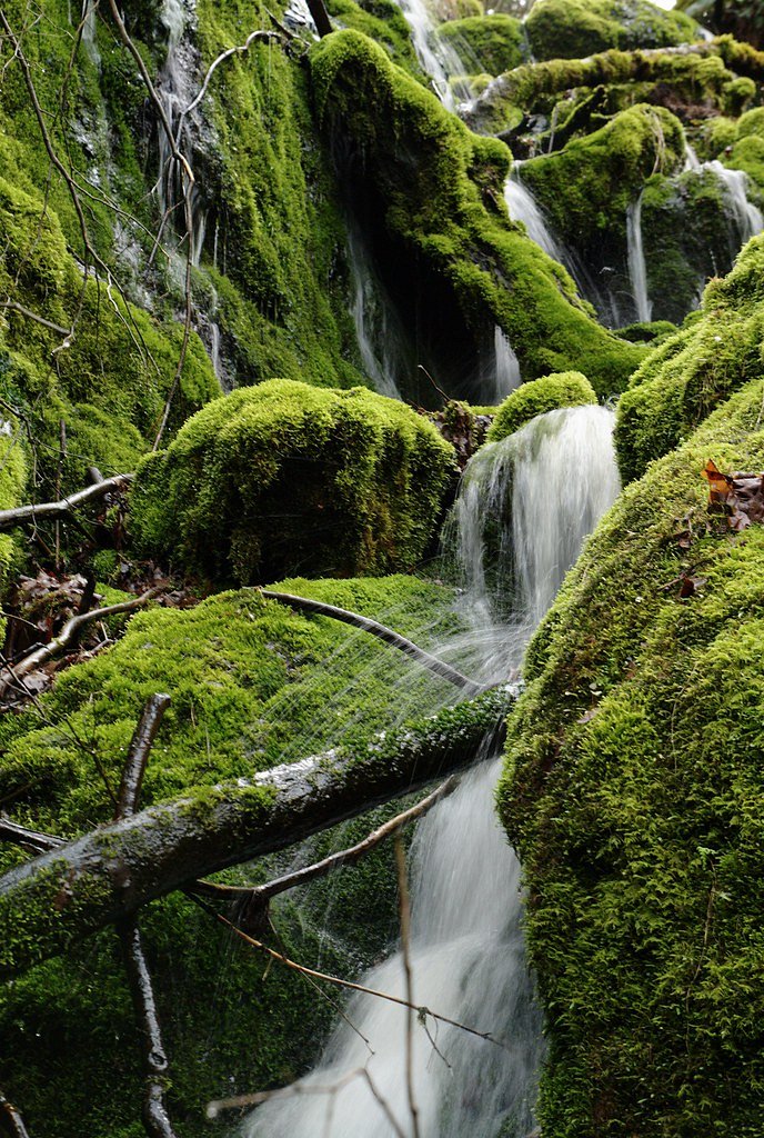 Cougar Falls waterfall