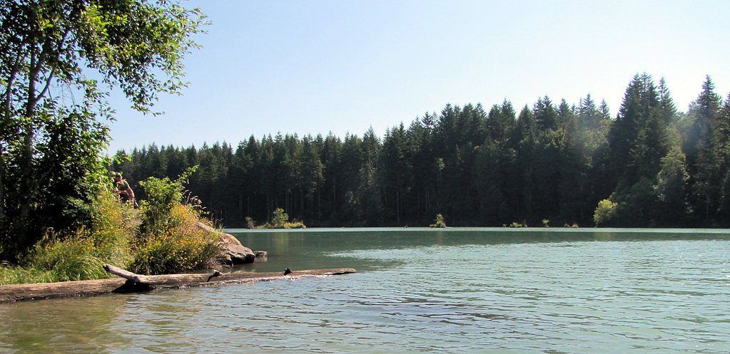 Cowlitz Falls waterfall