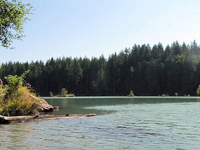 Cowlitz Falls