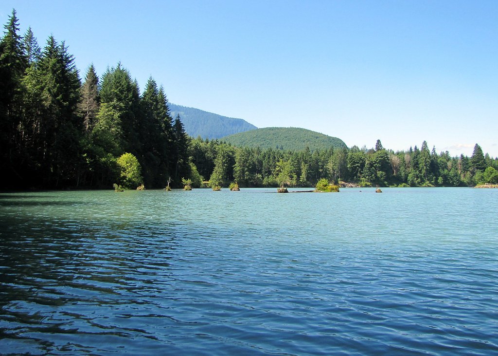 Cowlitz Falls waterfall