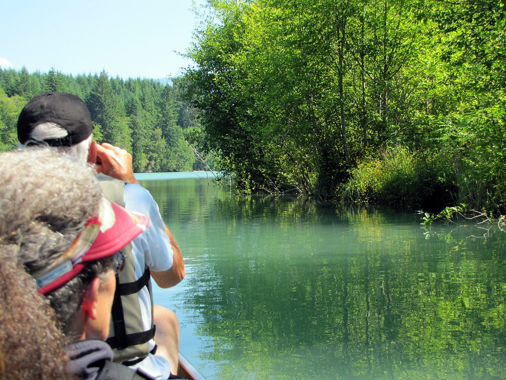 Cowlitz Falls waterfall