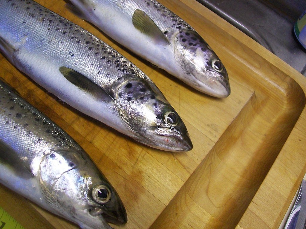 Cowyard Falls waterfall