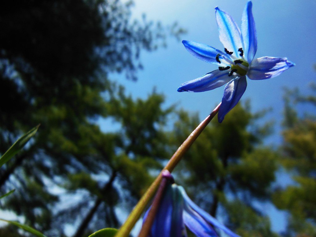 Crandall Falls waterfall