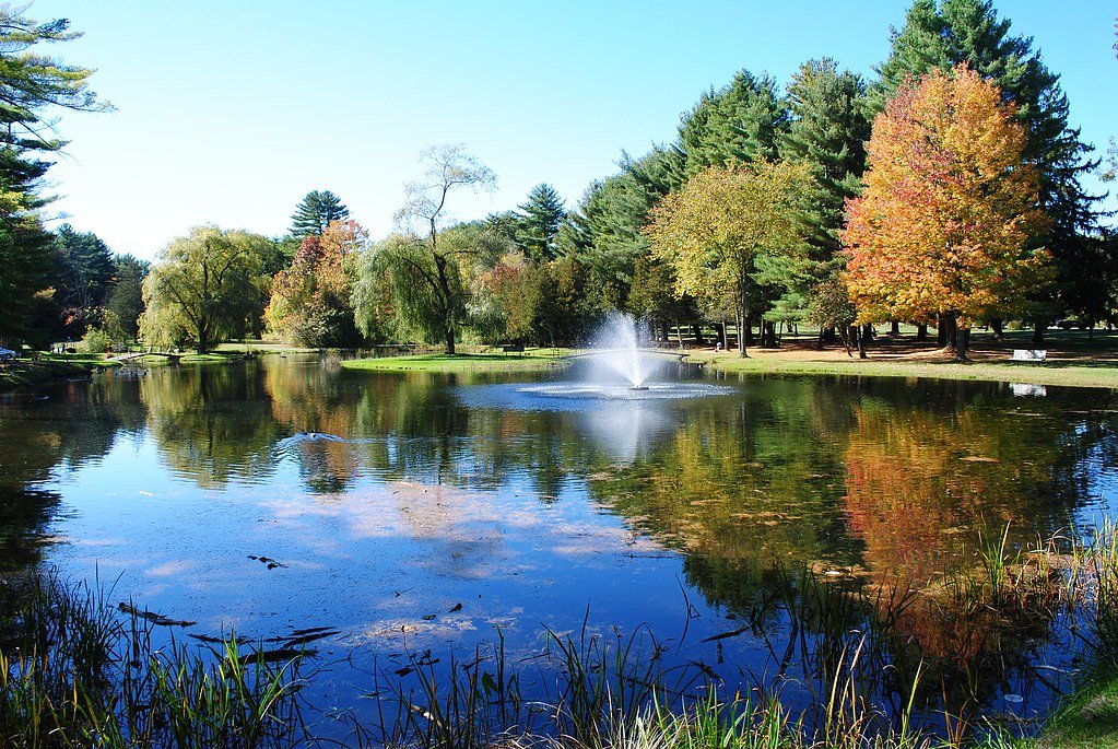 Crandall Falls waterfall