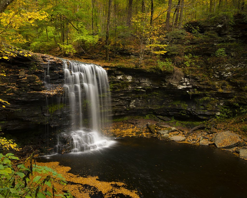 Creek Falls waterfall