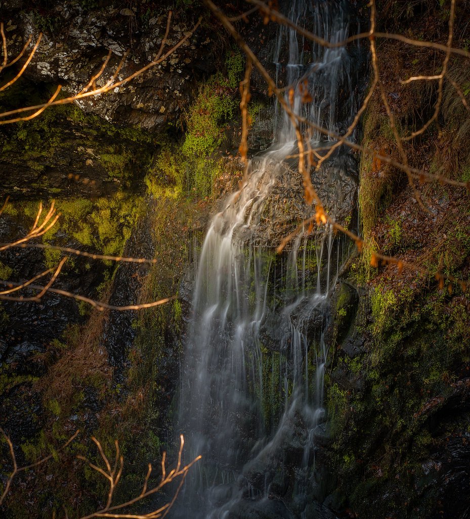 Creek Falls waterfall
