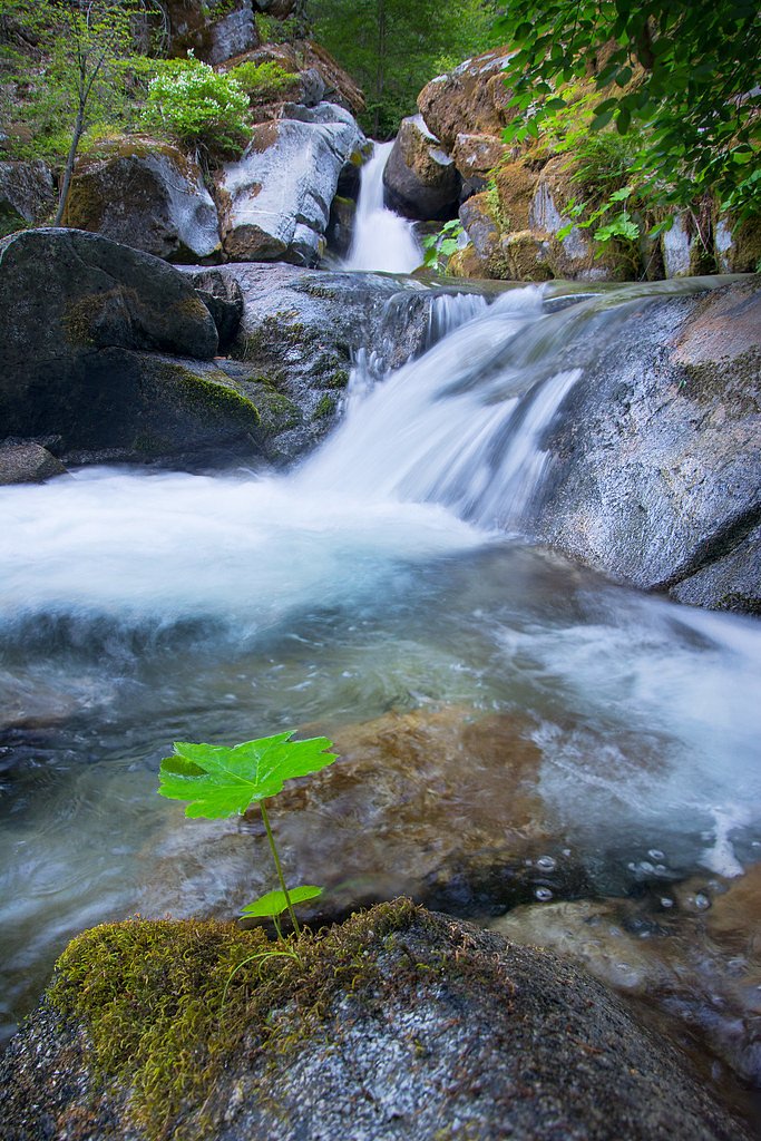 Crystal Creek Falls waterfall