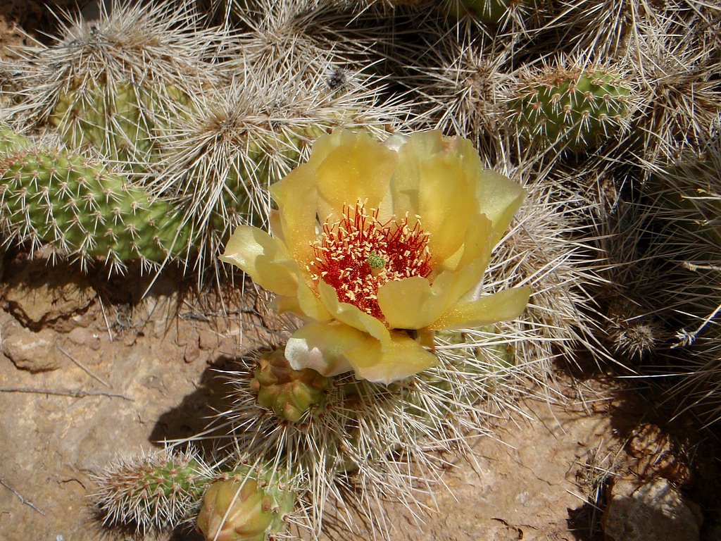 Crystal Falls waterfall