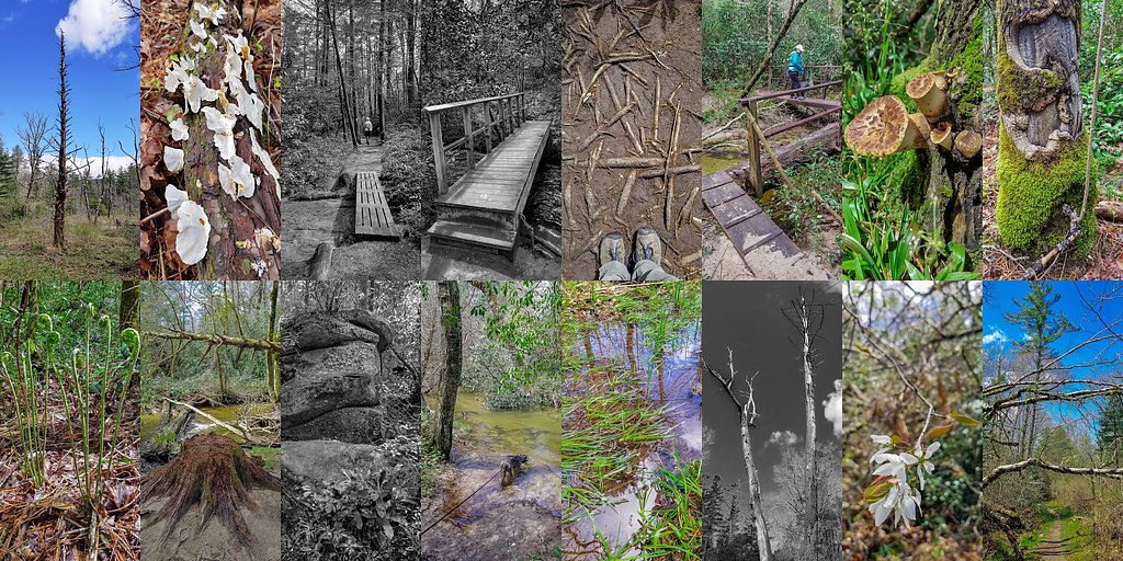 Crystal Falls waterfall