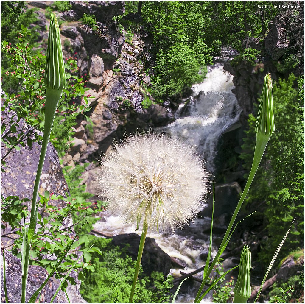 Crystal Falls waterfall