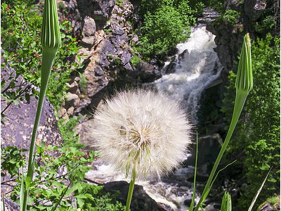 Crystal Falls, WA