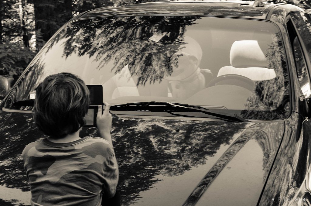 Curly Creek Falls waterfall