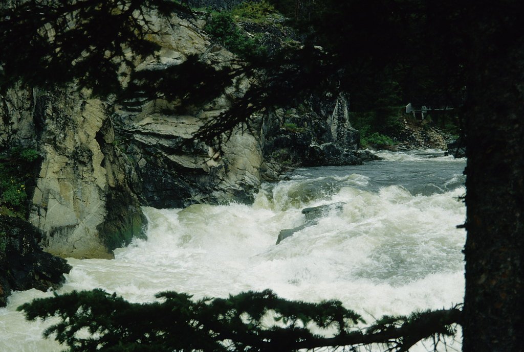Dagger Falls waterfall
