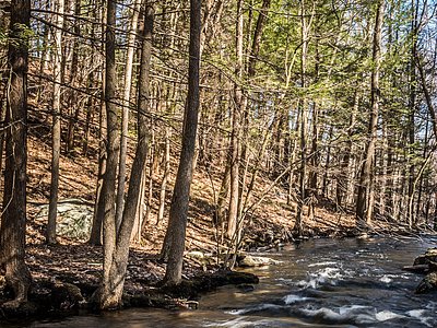 Danforth Falls