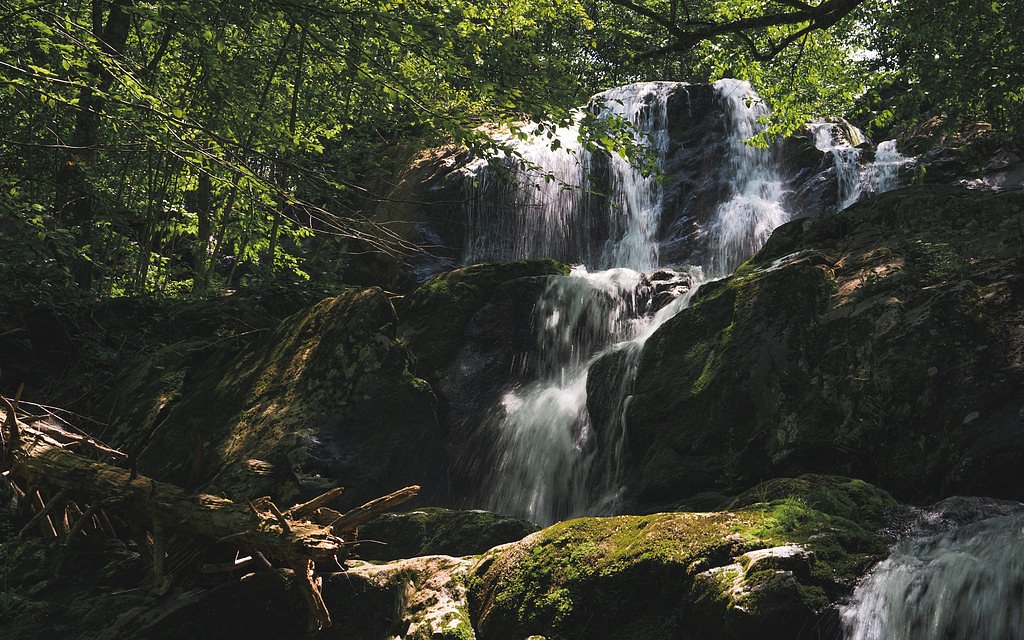 Dark Hollow Falls waterfall