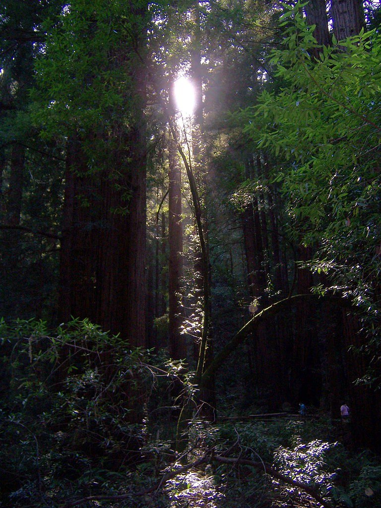 Dawn Falls waterfall