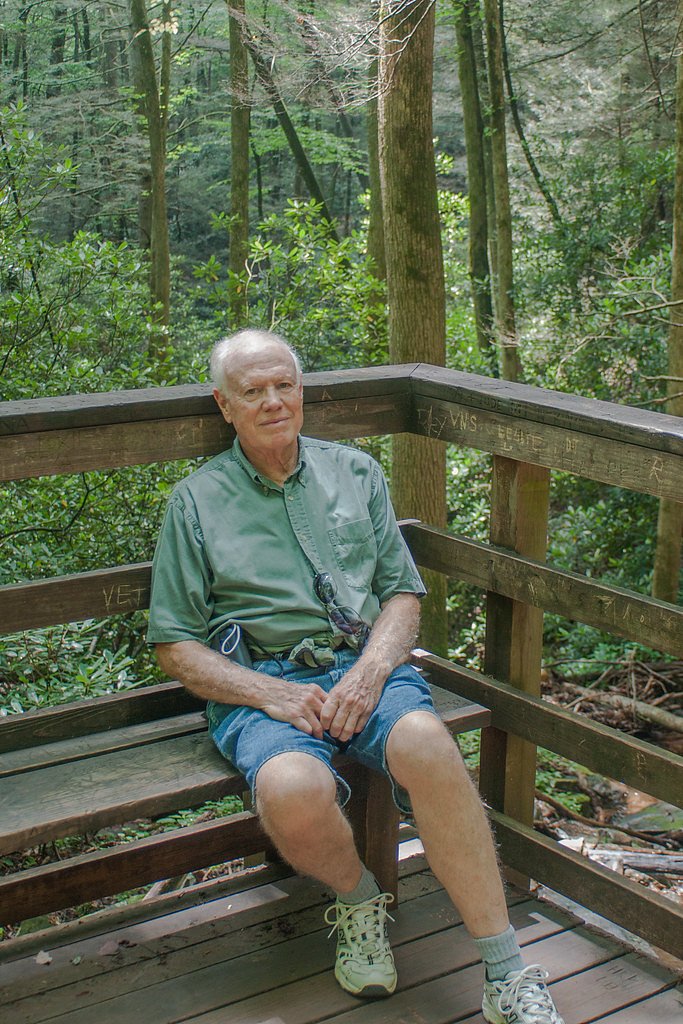 DeSoto Falls waterfall