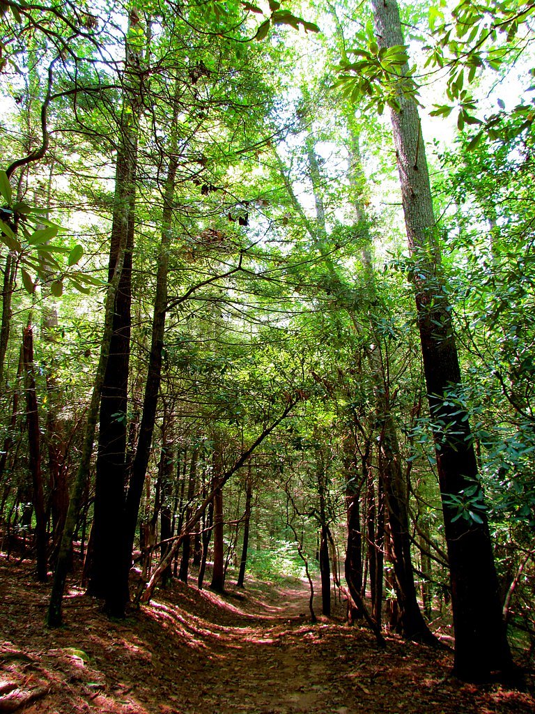 DeSoto Falls waterfall