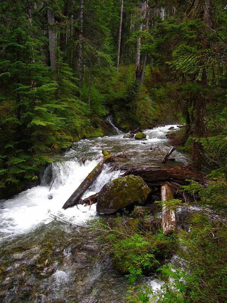 Deception Falls waterfall
