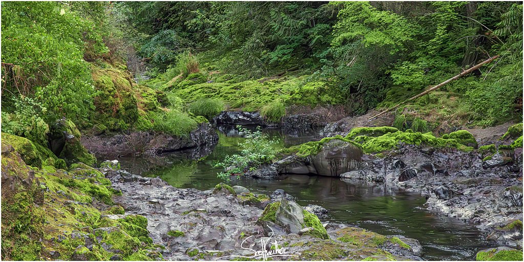 Deschutes Falls waterfall