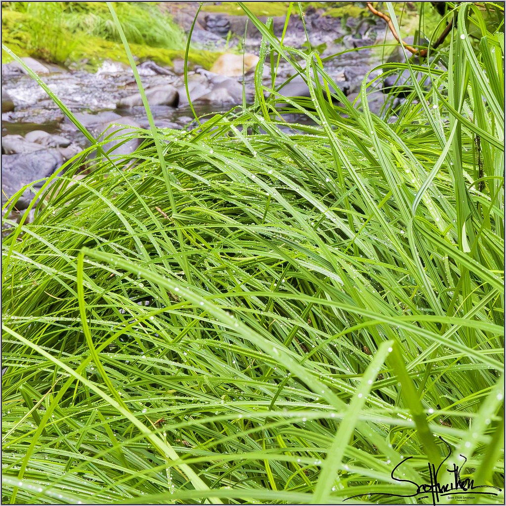 Deschutes Falls waterfall