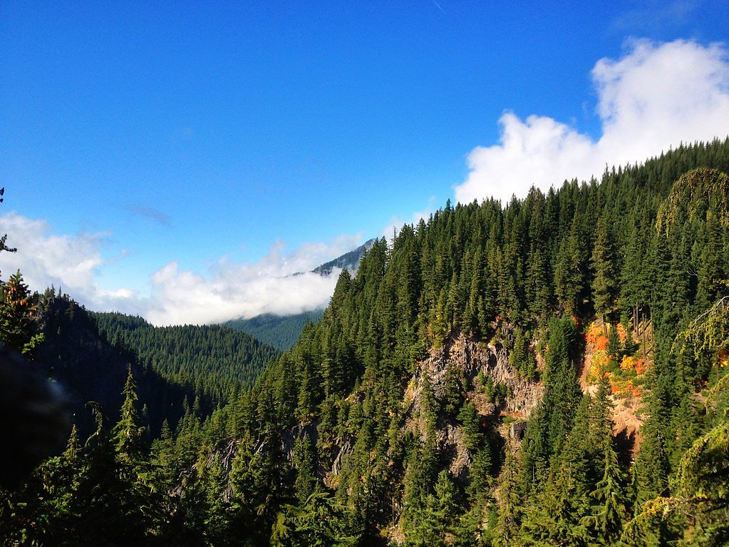 Diamond Creek Falls waterfall
