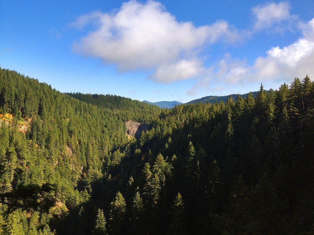Diamond Creek Falls waterfall