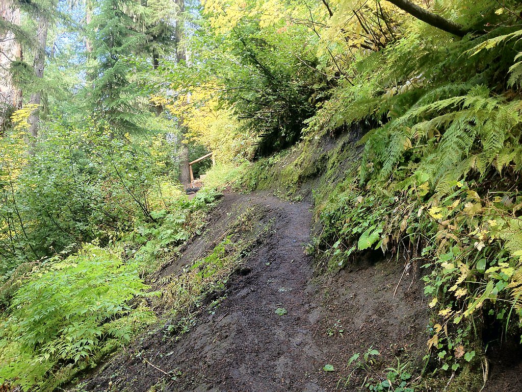 Diamond Creek Falls waterfall