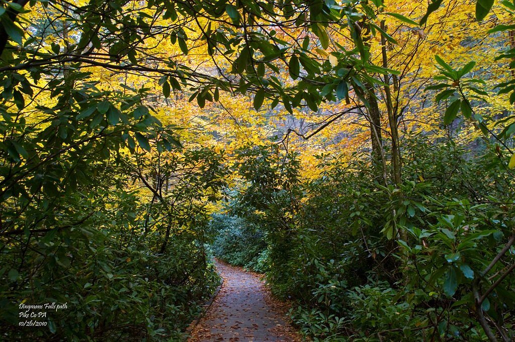 Dingmans Falls waterfall