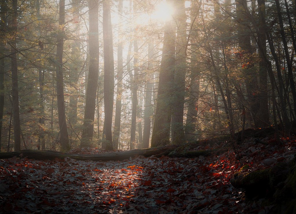 Dingmans Falls waterfall