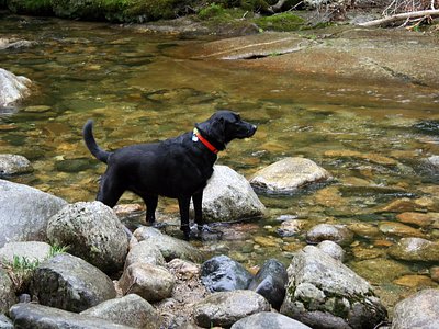 Dog Falls, ME
