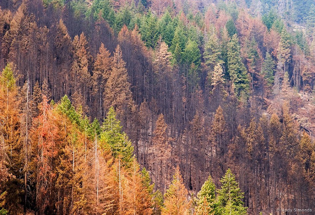 Domke Falls waterfall