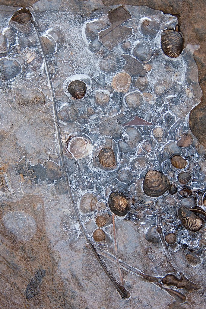 Double Falls waterfall