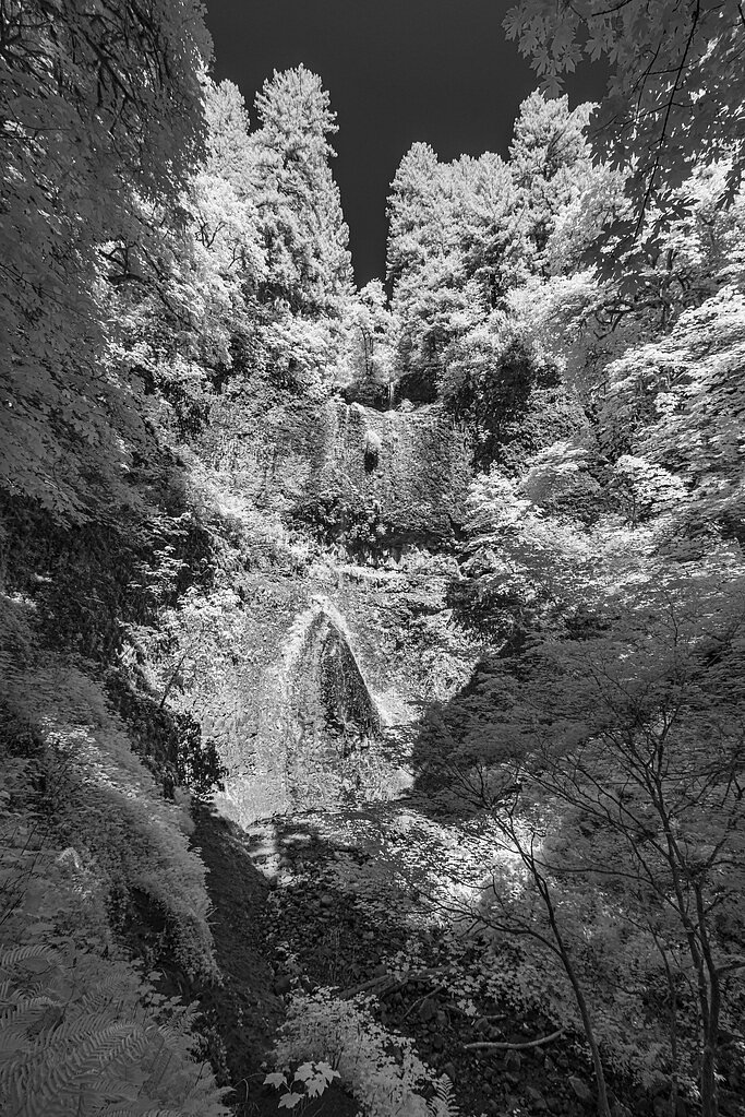Double Falls waterfall