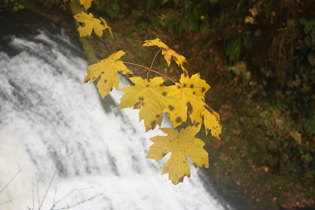 Drake Falls waterfall