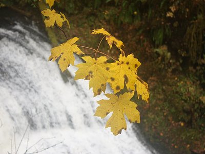 Drake Falls