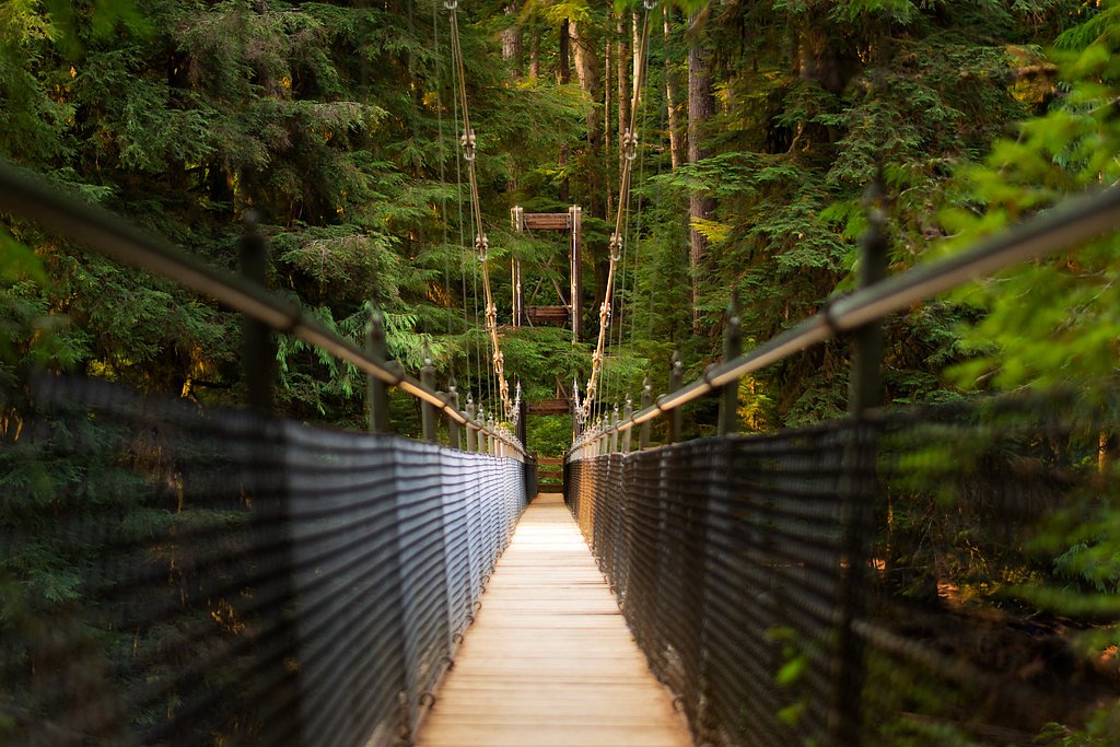Drift Creek Falls waterfall
