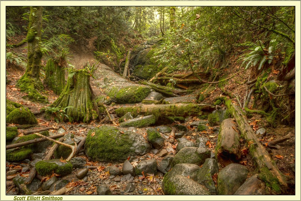Dry Creek Falls waterfall
