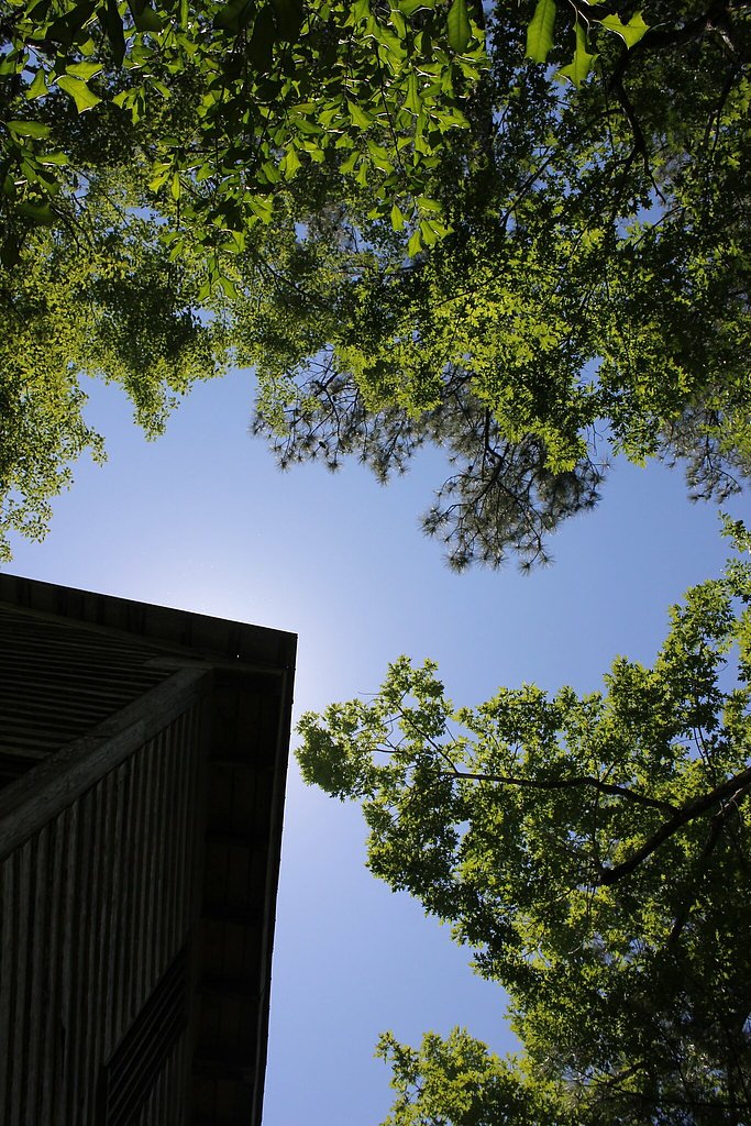 Dunns Falls waterfall