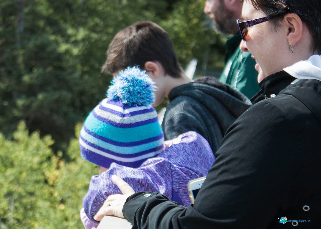 Eagle River Falls waterfall