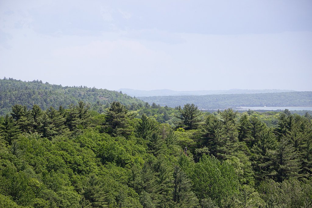 East Branch Falls waterfall
